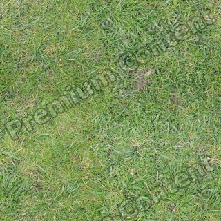 Seamless Grass 0005